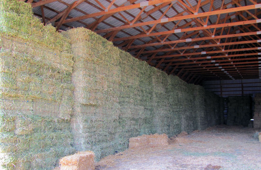 Hay For Sale Timothy, Alfalfa, Orchard, Fescue, Bermuda, Grass Hay