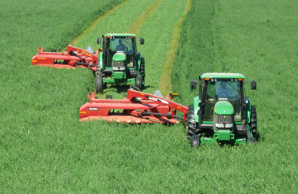 Hay For Sale Timothy, Alfalfa, Orchard, Fescue, Bermuda, Grass Hay