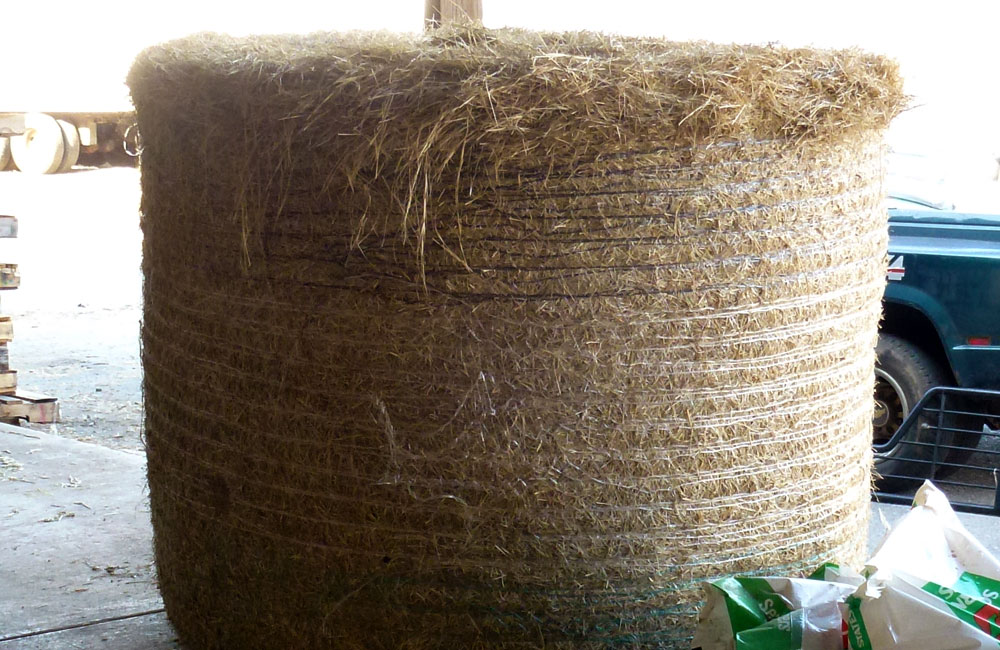 Hay For Sale Timothy, Alfalfa, Orchard, Fescue, Bermuda, Grass Hay