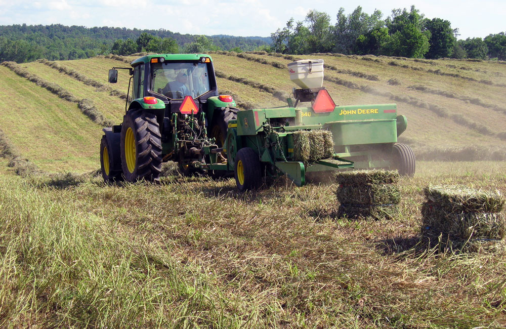 Square Bale Harvest J And Jay Hay Farms J And J Hay Farms